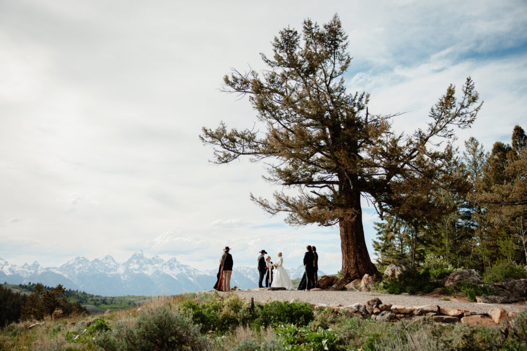 A small elopement ceremony at the Wedding Tree in Jackson Hole